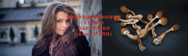 спайс Абдулино